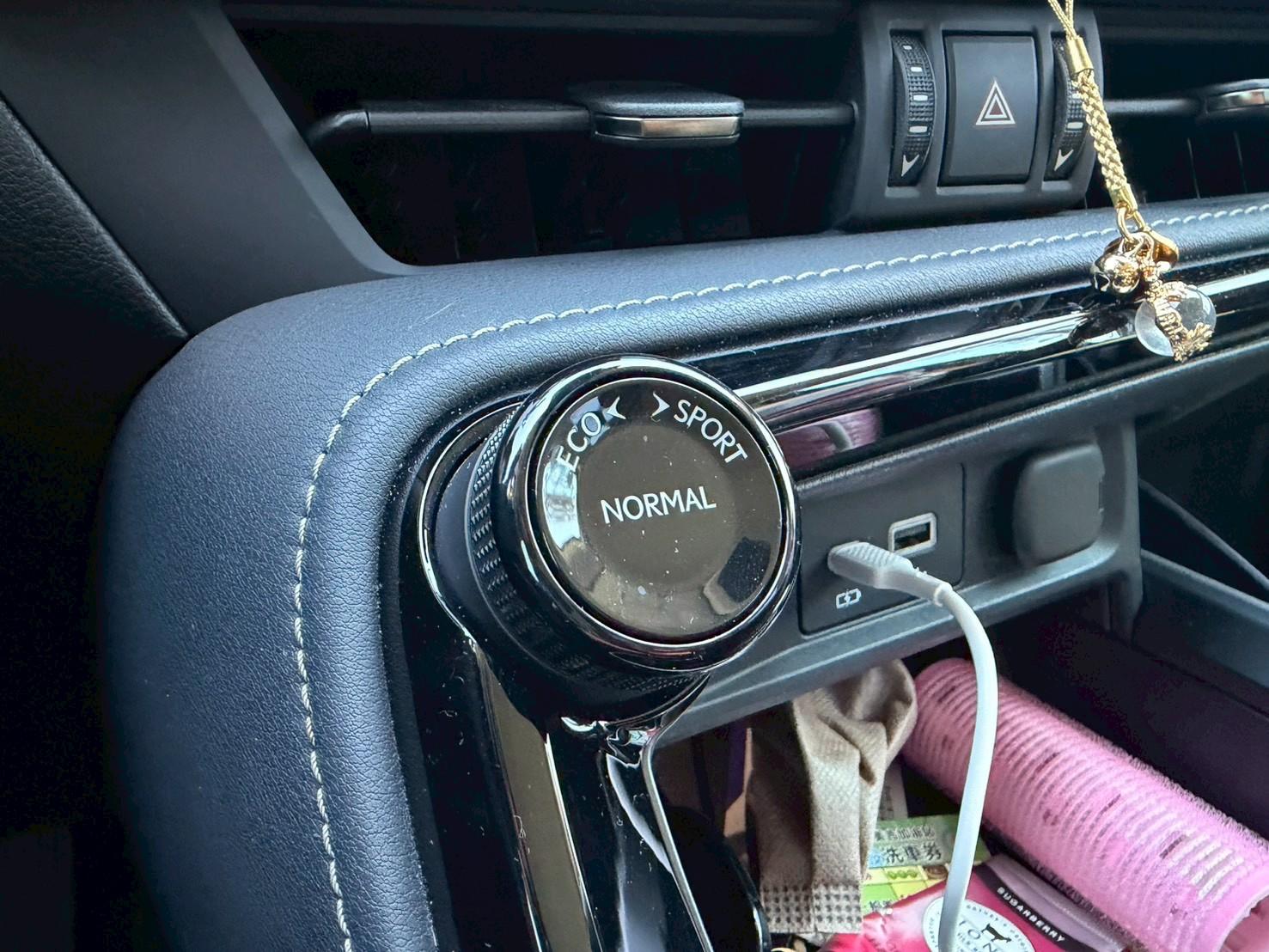 2024 Lexus NX200 菁英版 白